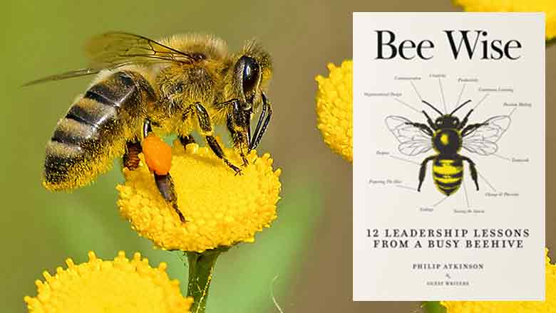 Bee Wise: 12 Leadership Lessons from a Busy Beehive