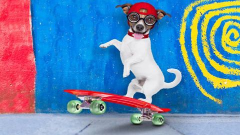 An interview with Bree Groff