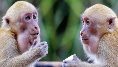 What is Relationship Currency?