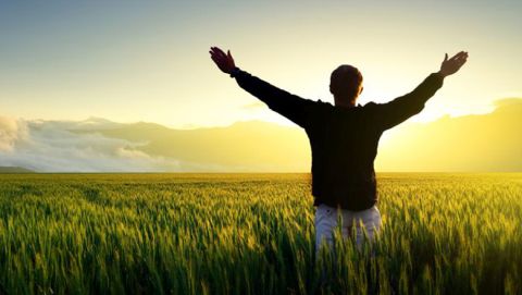 An interview with Mark Price