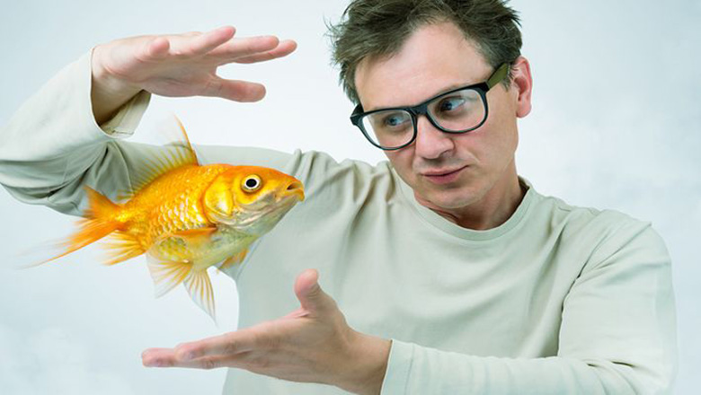 Illustrative article header image