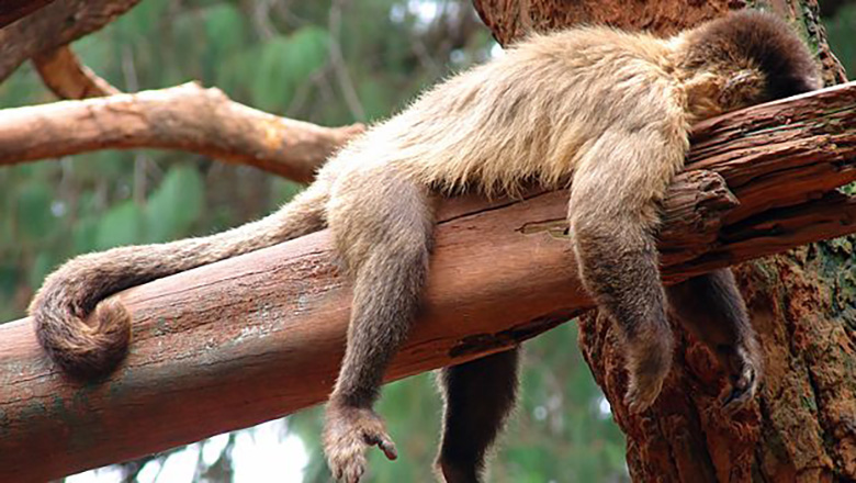 Illustrative article header image