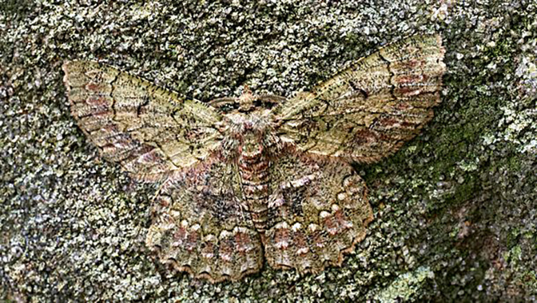 Illustrative article header image