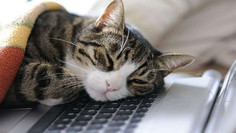 Illustrative article header image