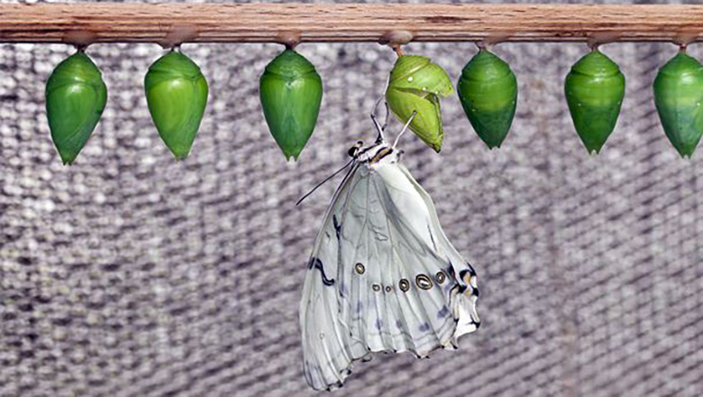 Illustrative article header image