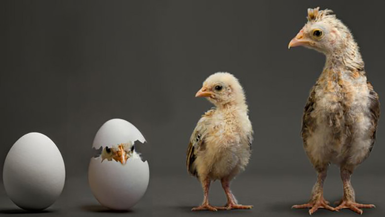 Illustrative article header image