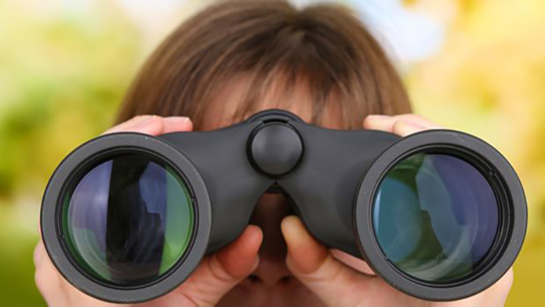 The bird watcher's guide to hybrid work