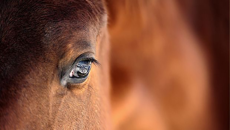 Illustrative article header image