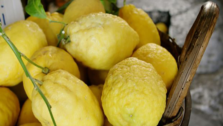 Illustrative article header image