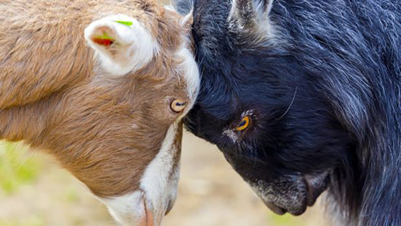 Illustrative article header image