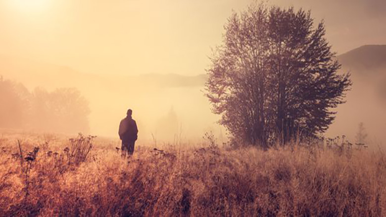 Illustrative article header image