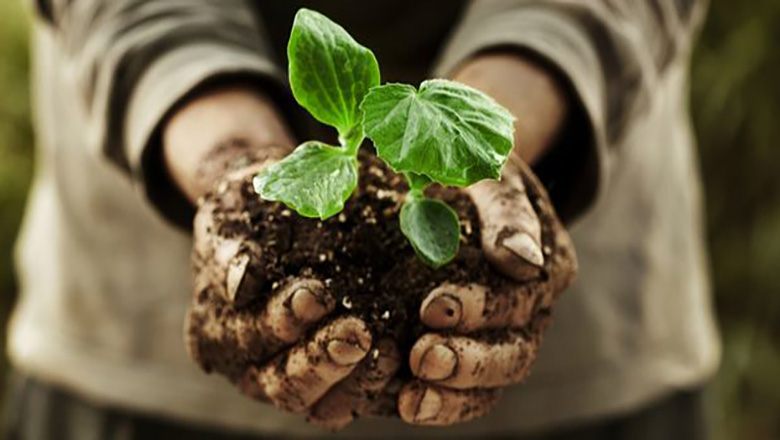 Illustrative article header image