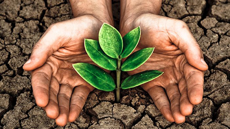 Illustrative article header image