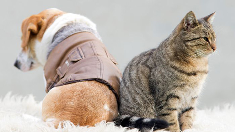 Illustrative article header image