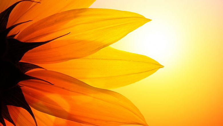 Illustrative article header image