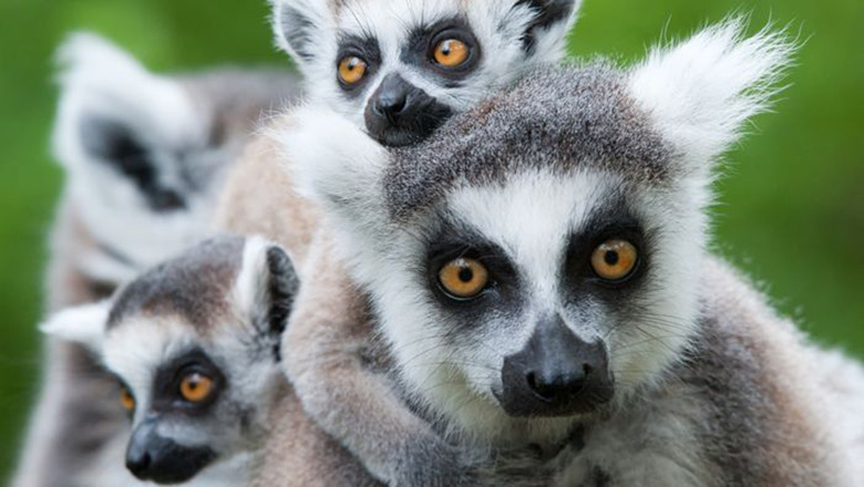 Illustrative article header image