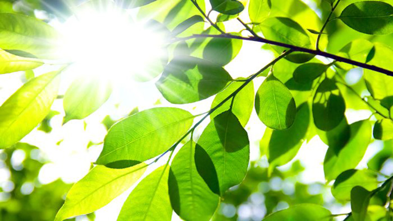 Illustrative article header image