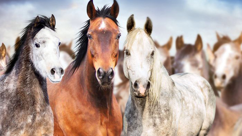 Illustrative article header image