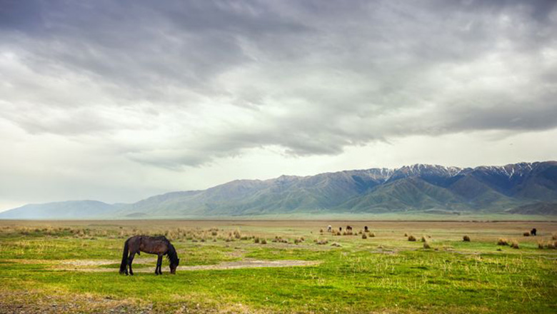 Illustrative article header image