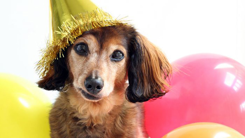 Illustrative article header image