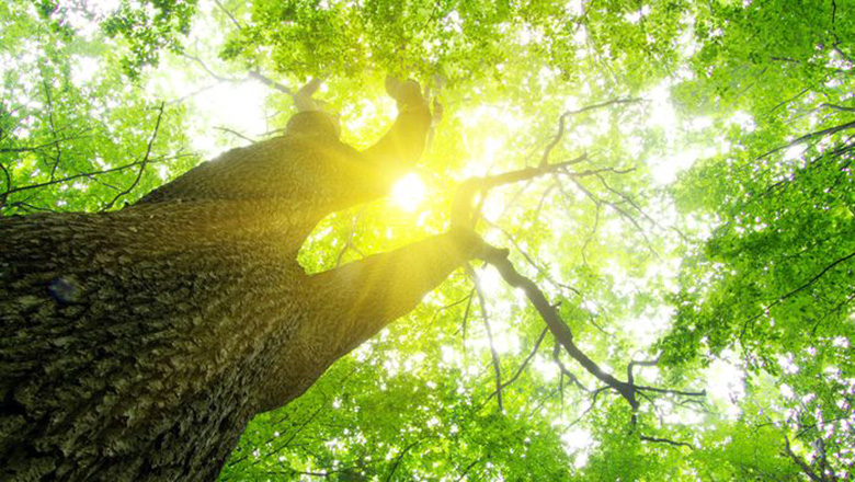 Illustrative article header image