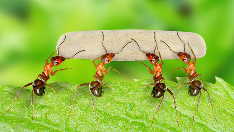 Illustrative article header image