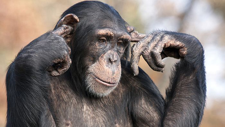 Illustrative article header image