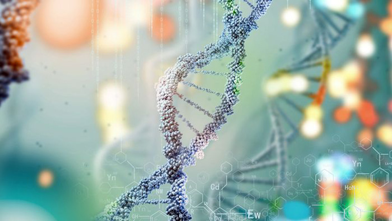 Are we still beginners learning leadership?