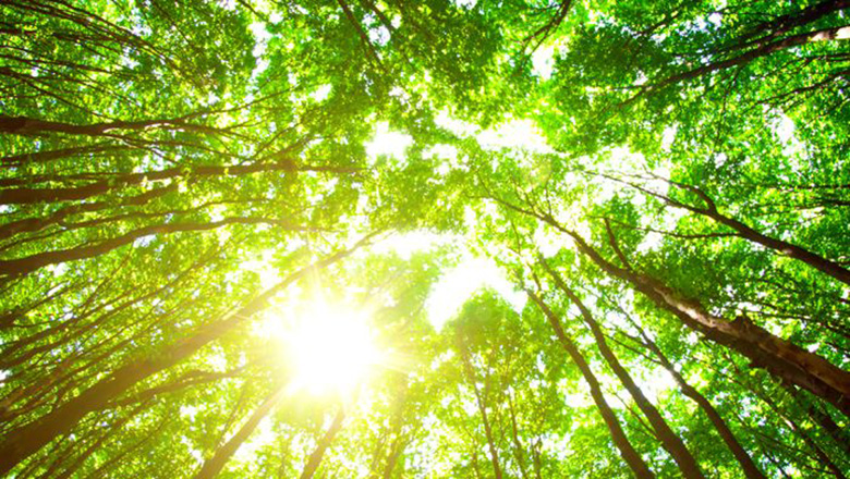 Illustrative article header image