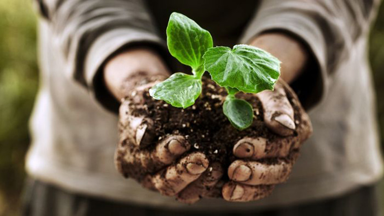 Illustrative article header image