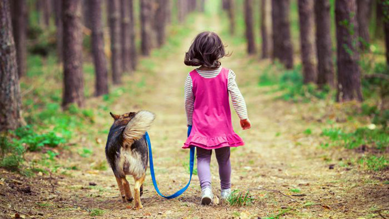 Illustrative article header image