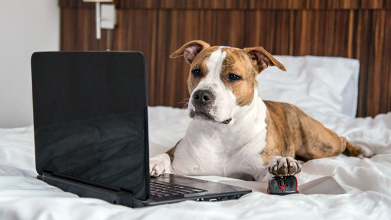 Illustrative article header image