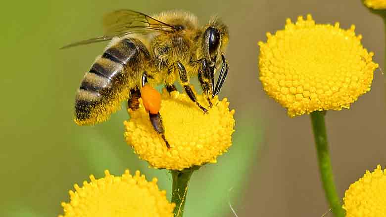 Illustrative article header image