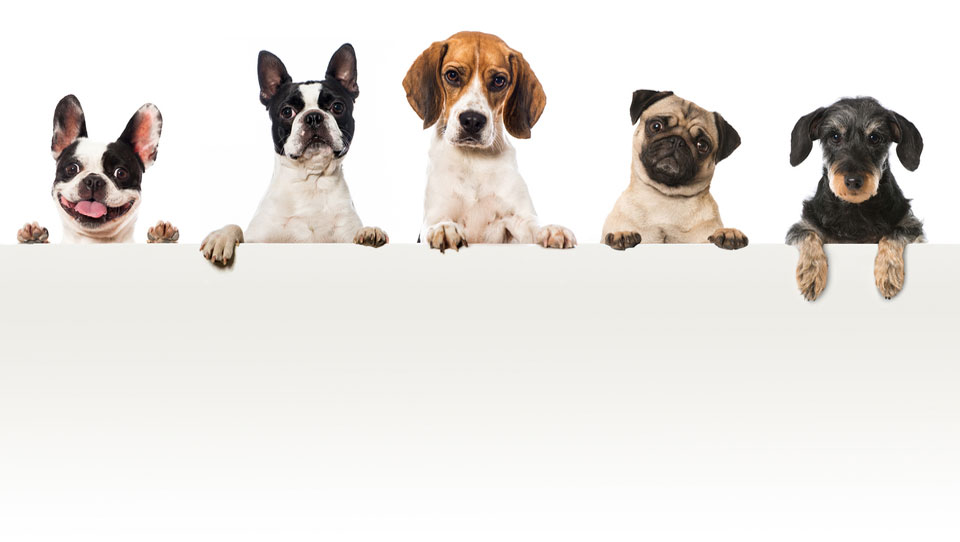 Illustrative article header image